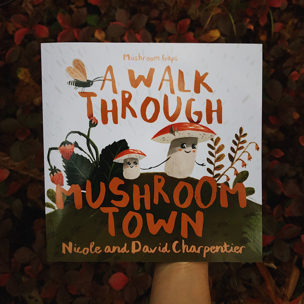 Front cover of A Walk Through Mushroom Town by David Aaron Charpentier, illustrated by Nicole Charpentier